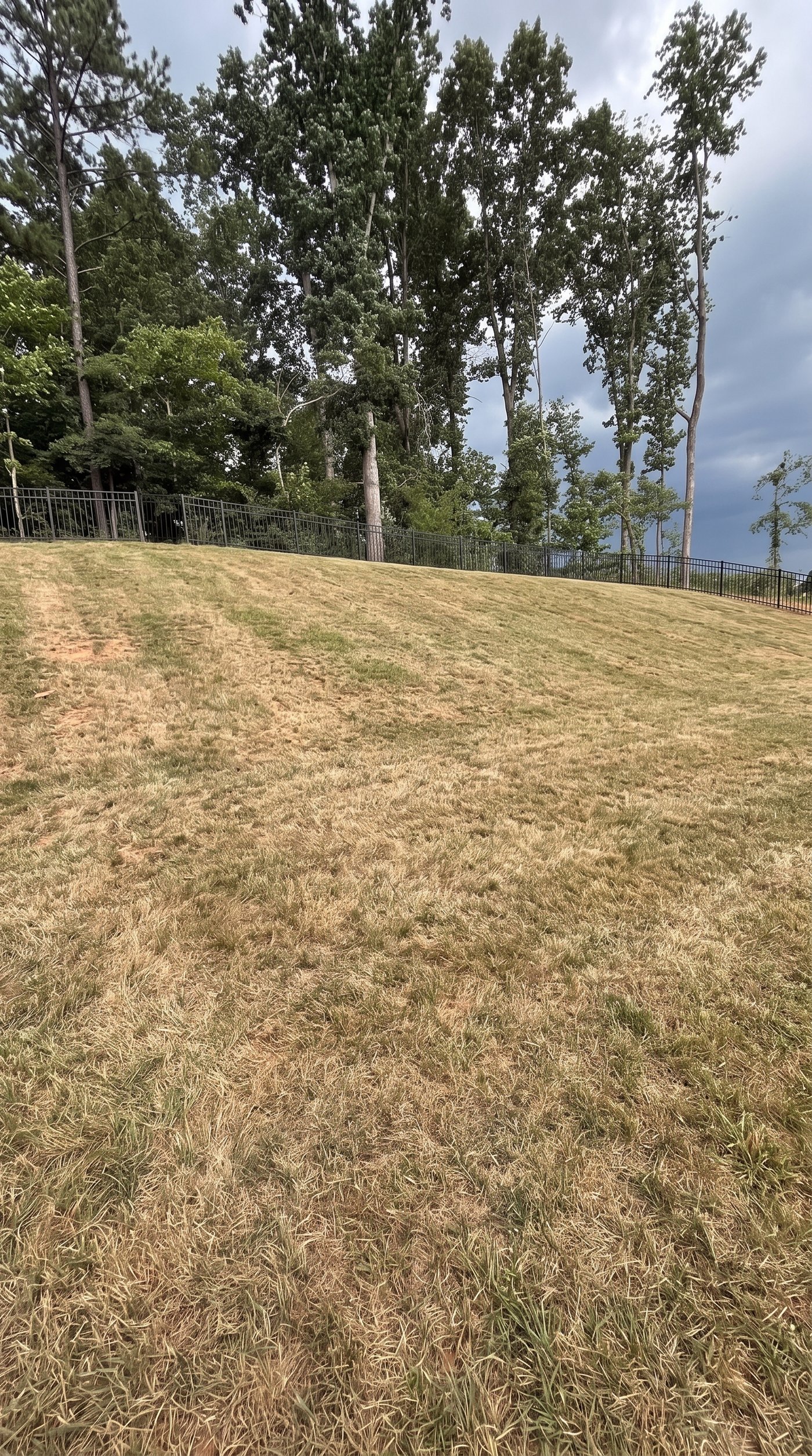 Bare grass slope before the retaining wall